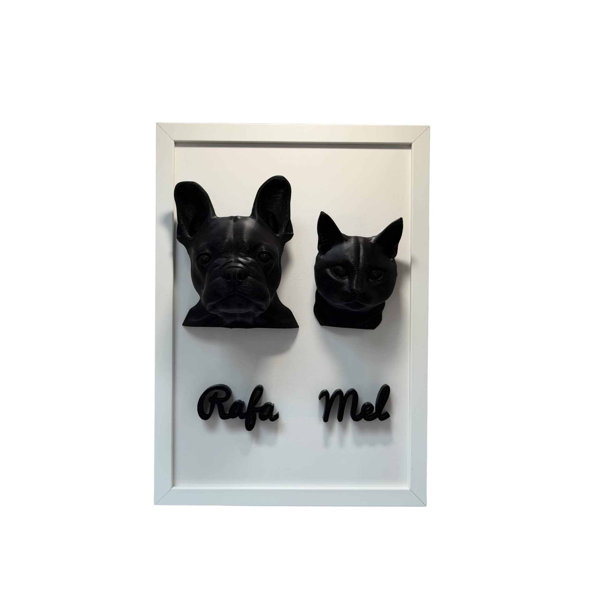 Os Dois — 2 pets