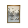 Os Dois — 2 pets
