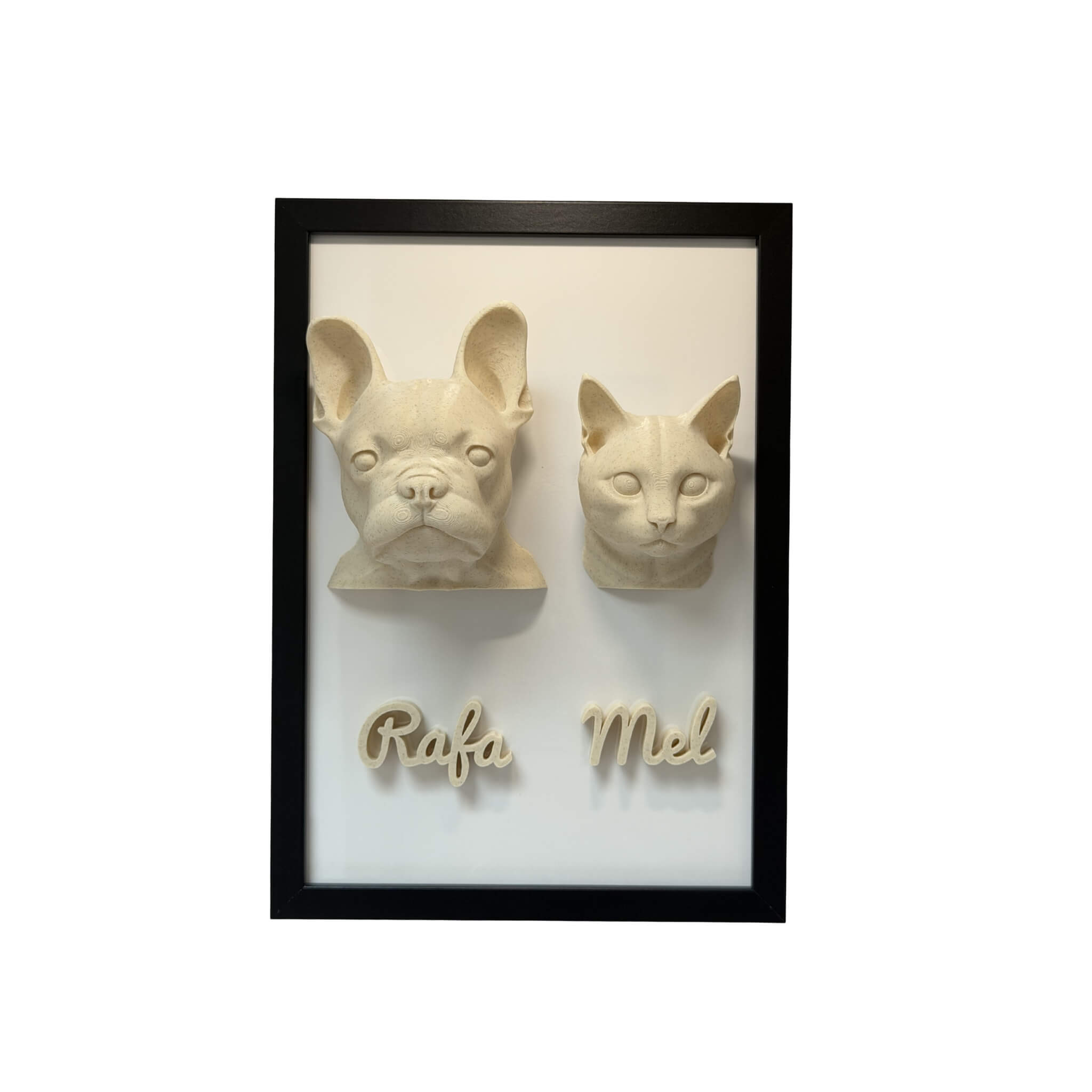 Os Dois — 2 pets