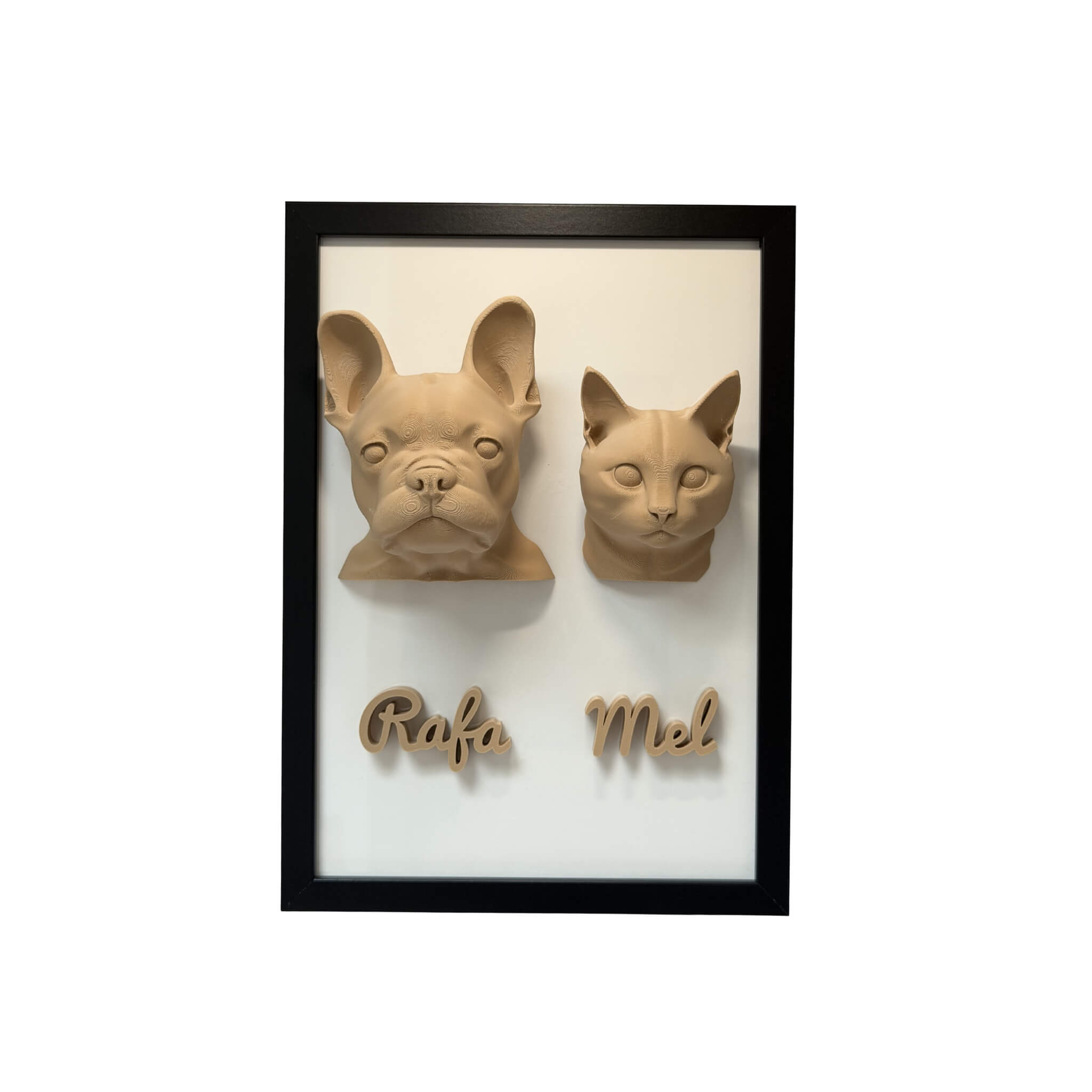 Os Dois — 2 pets