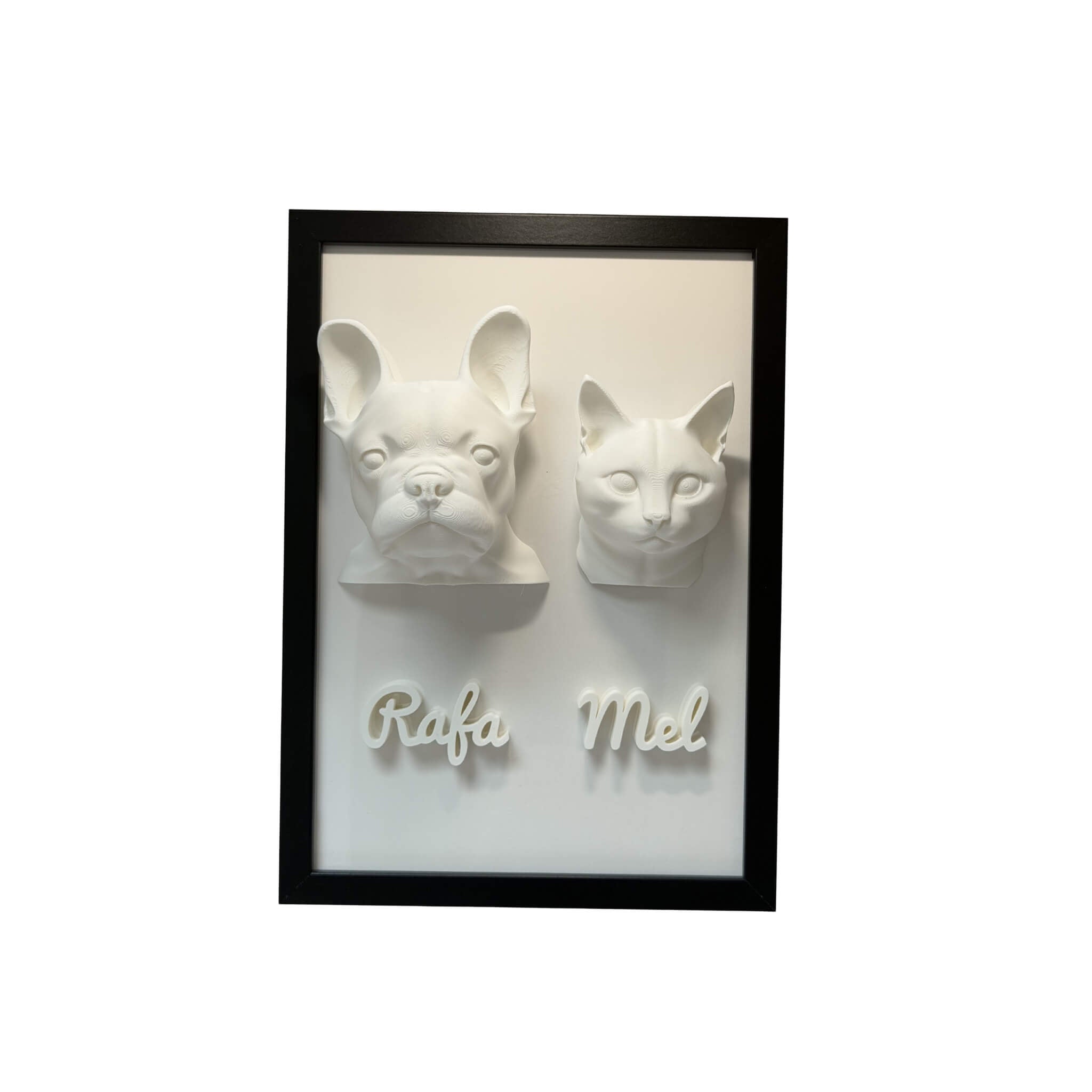 Os Dois — 2 pets