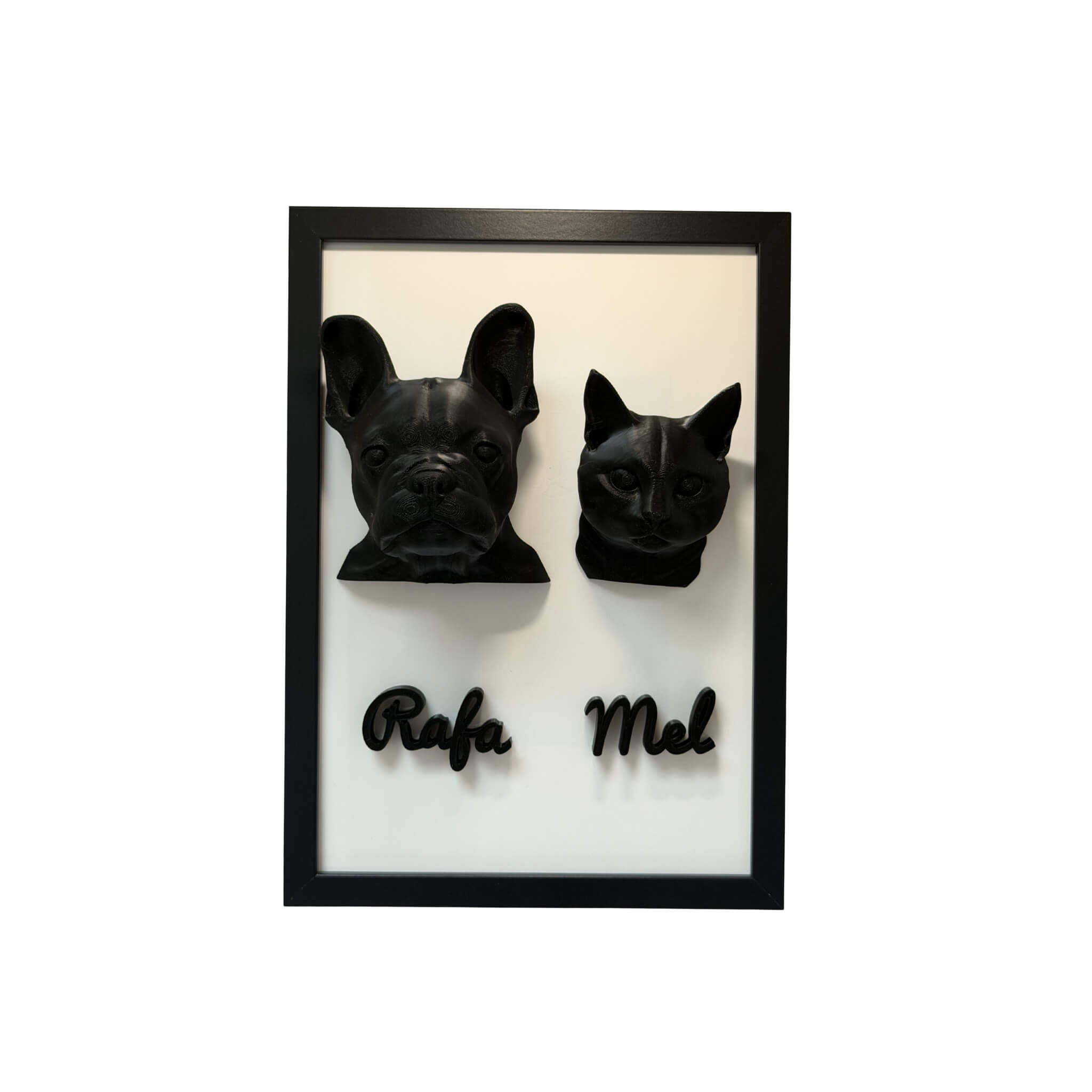 Os Dois — 2 pets