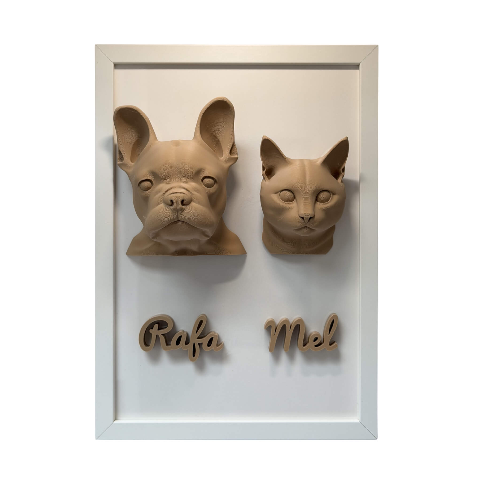 Os Dois — 2 pets