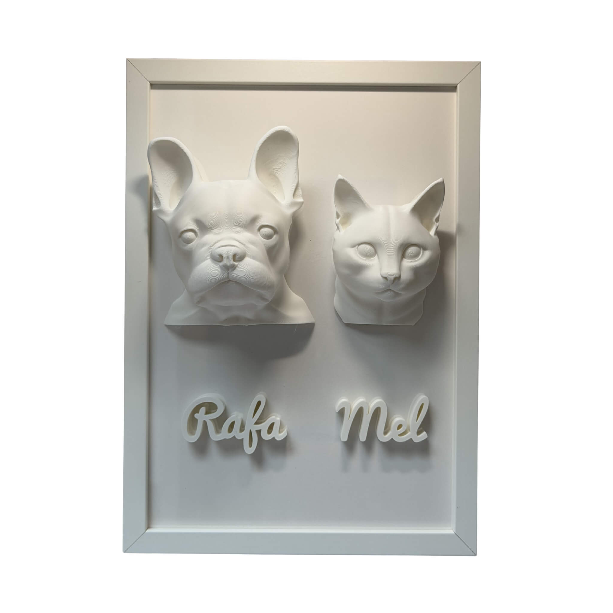 Os Dois — 2 pets