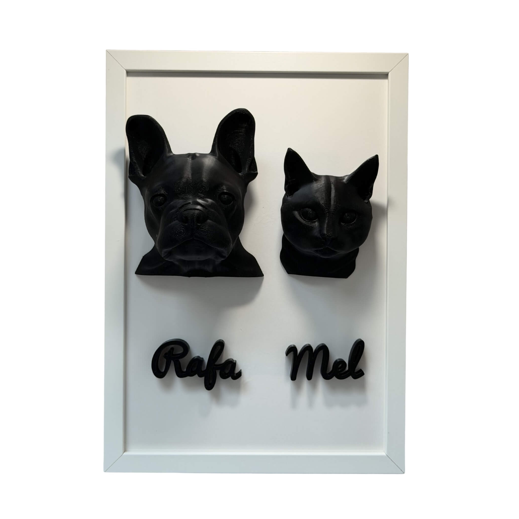 Os Dois — 2 pets