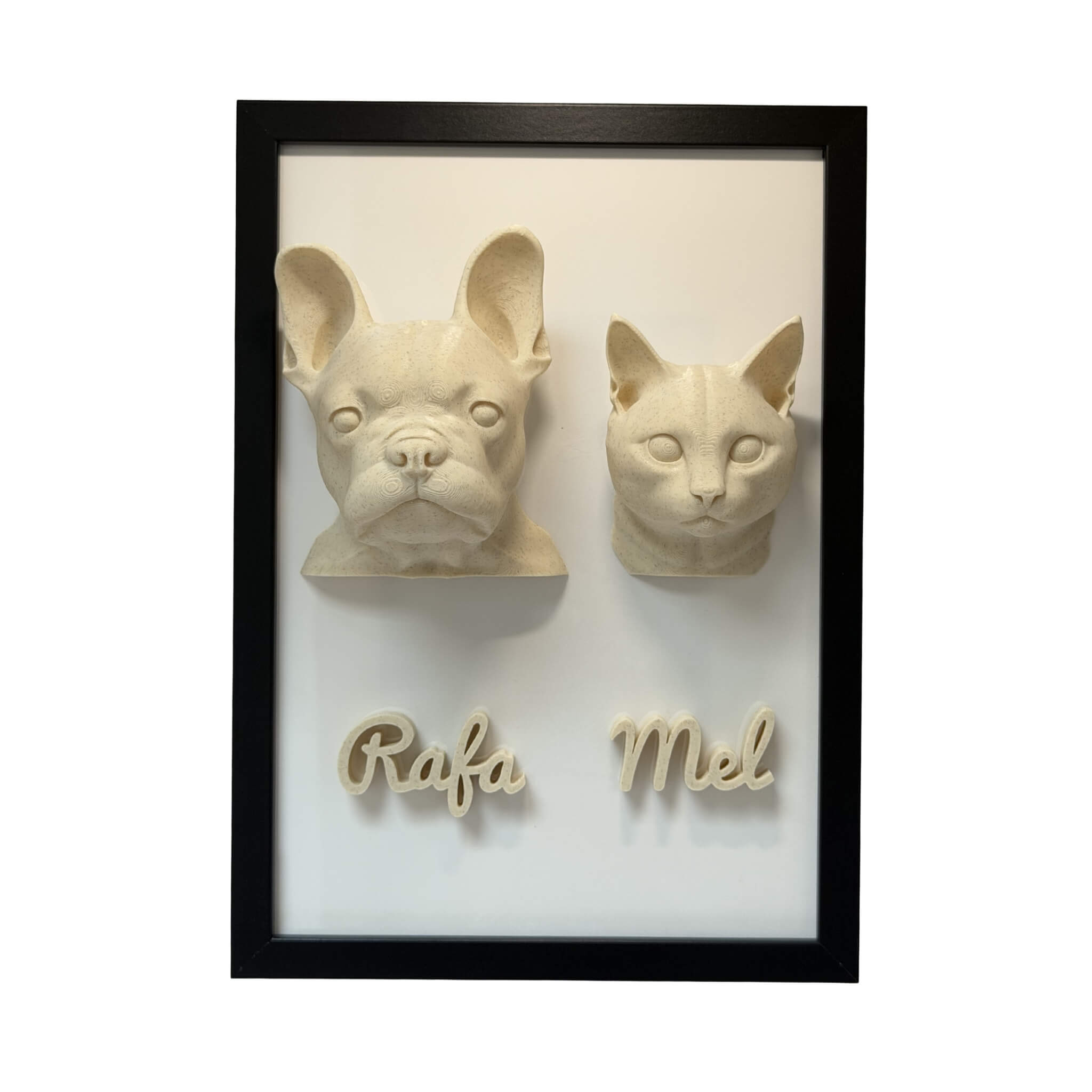 Os Dois — 2 pets