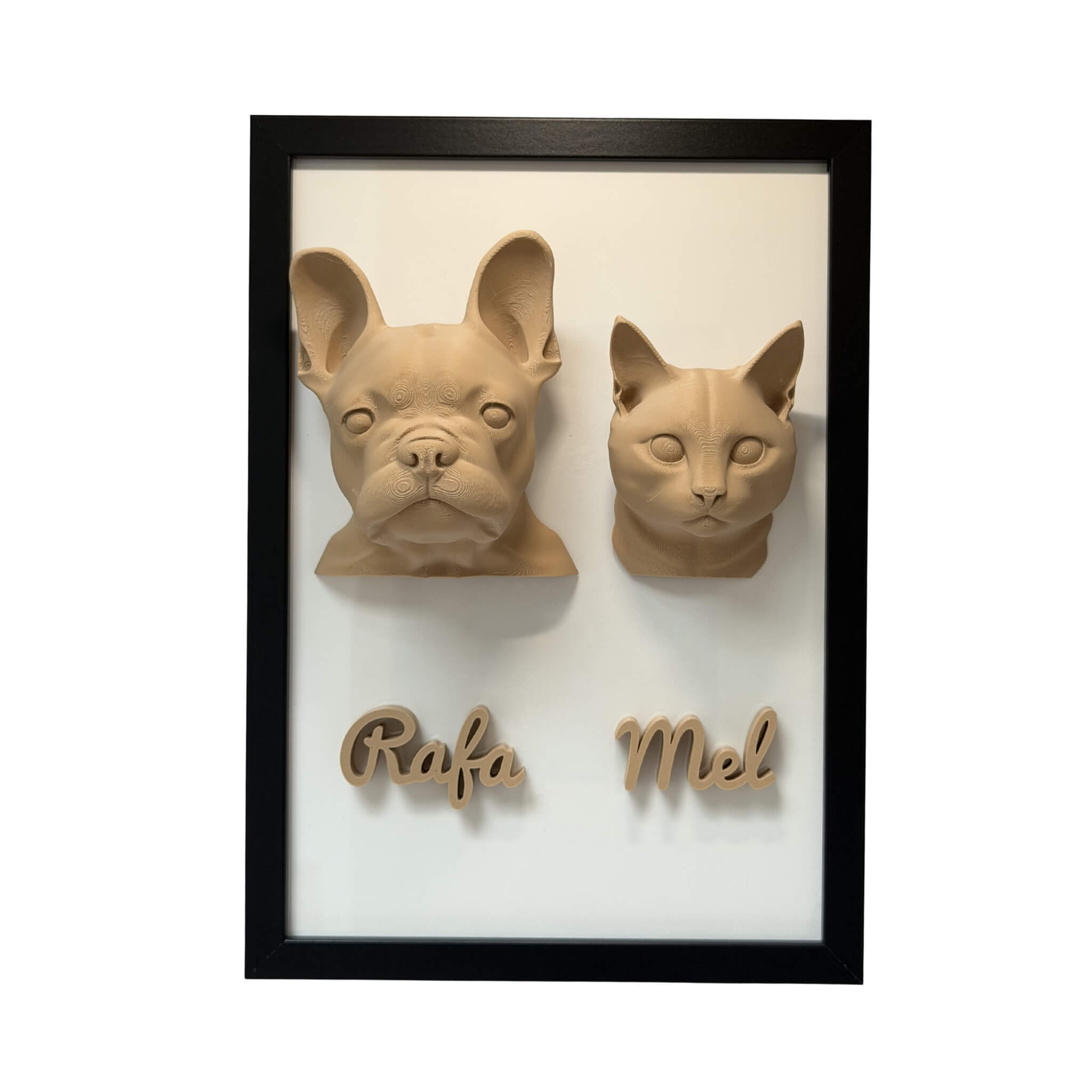 Os Dois — 2 pets