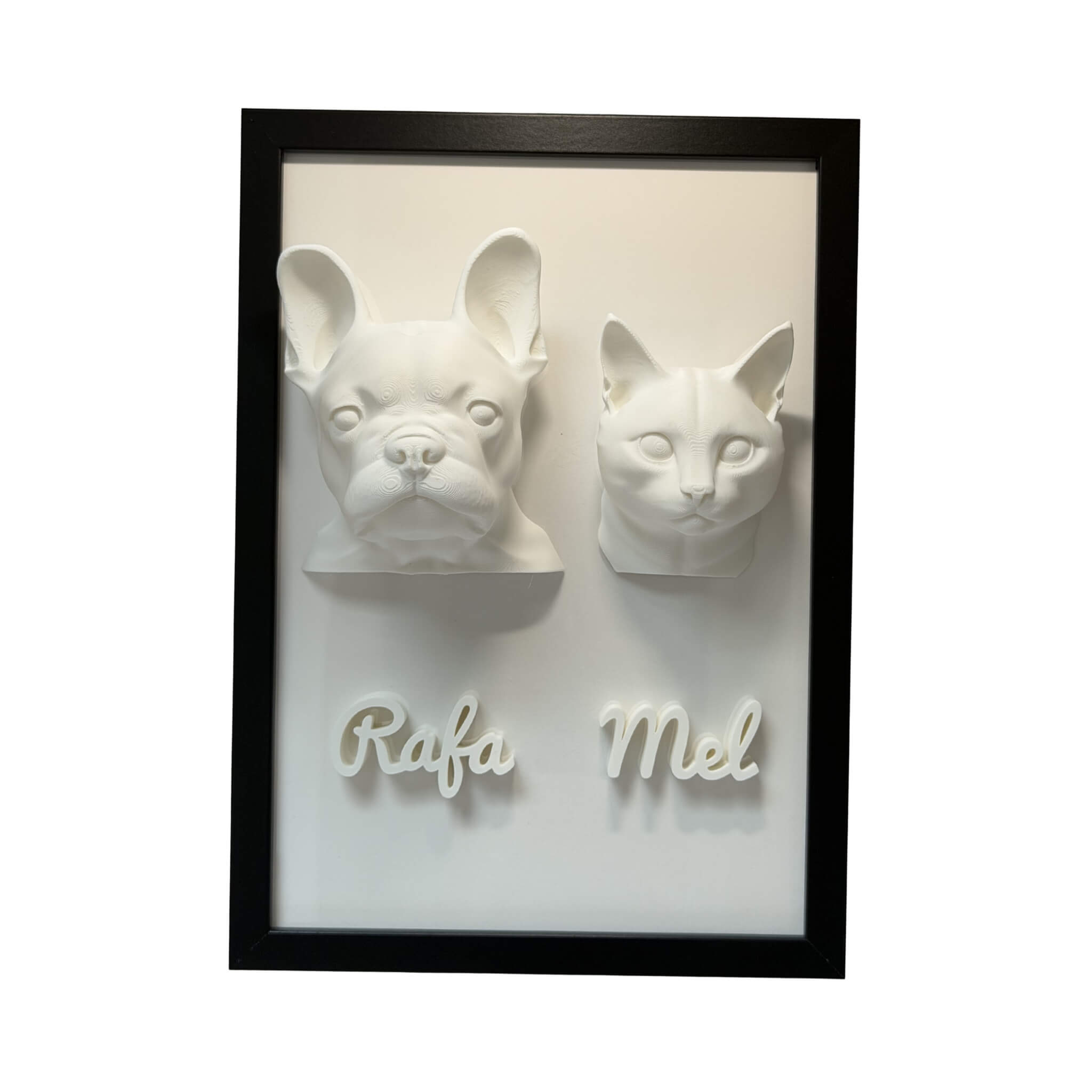 Os Dois — 2 pets