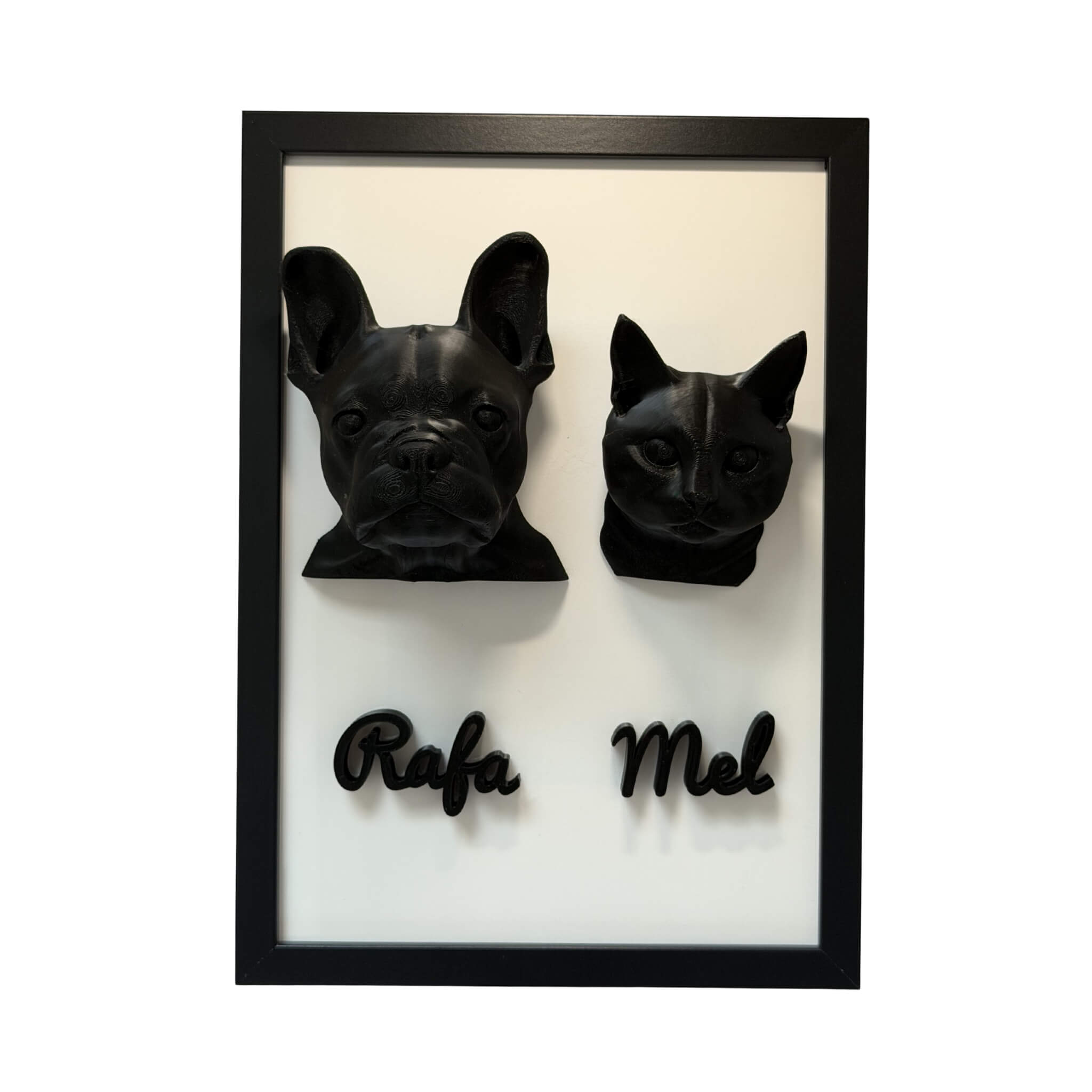 Os Dois — 2 pets