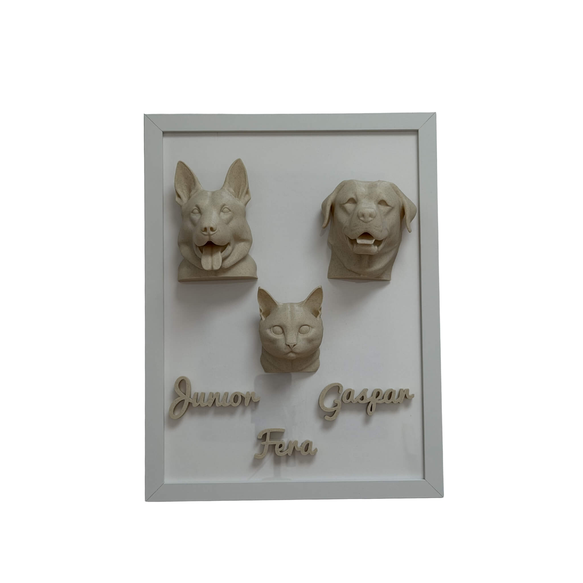 A Família — 3 pets