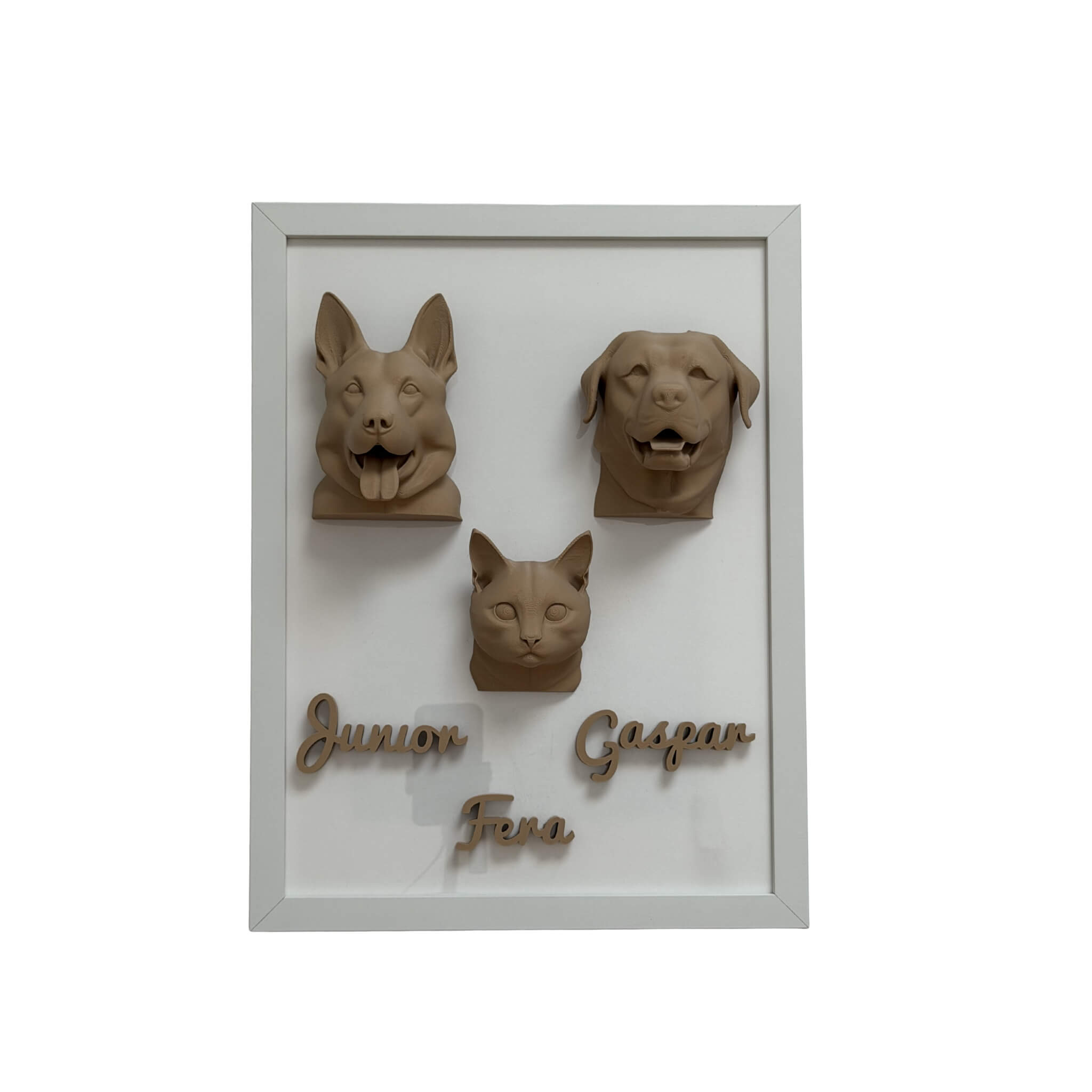 A Família — 3 pets