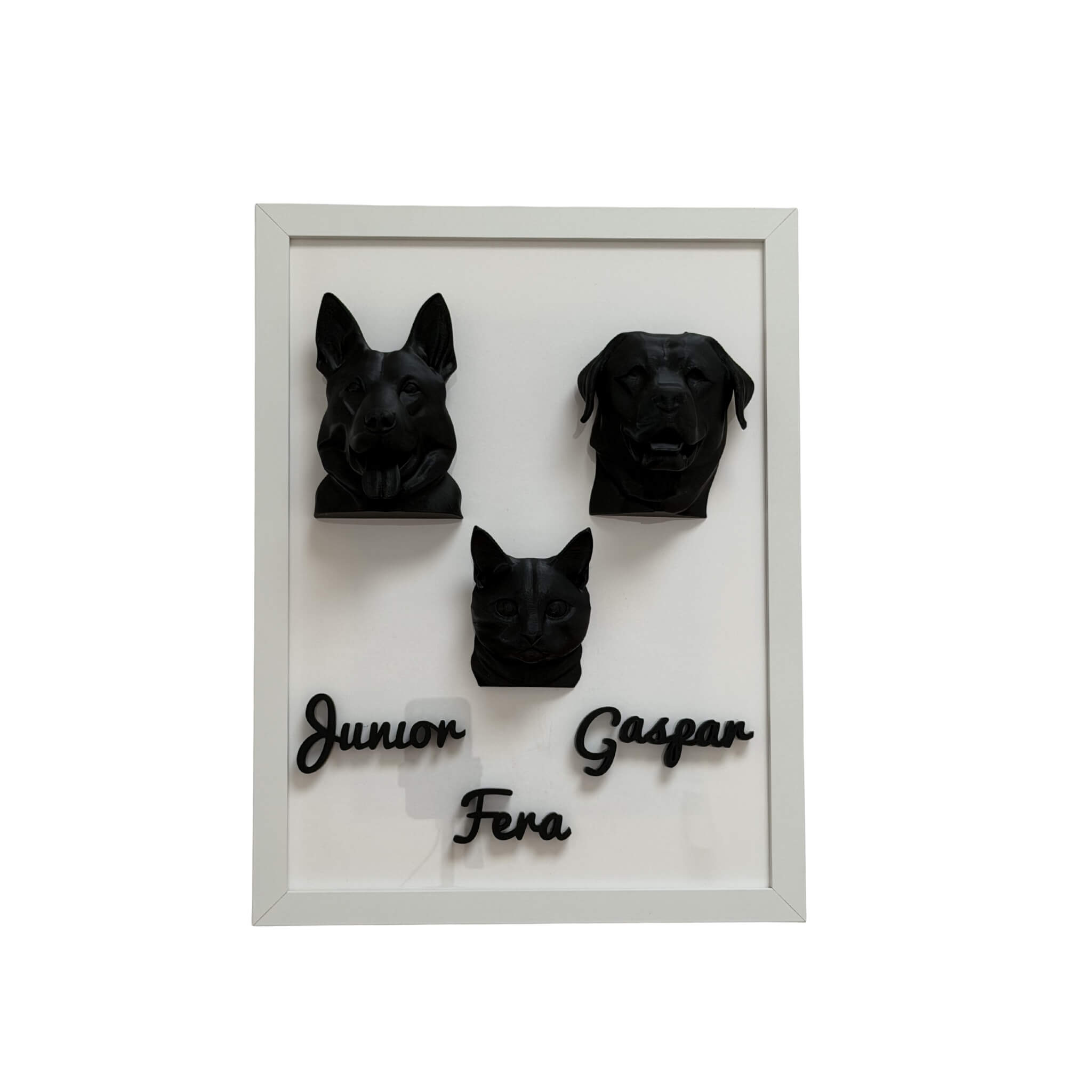 A Família — 3 pets