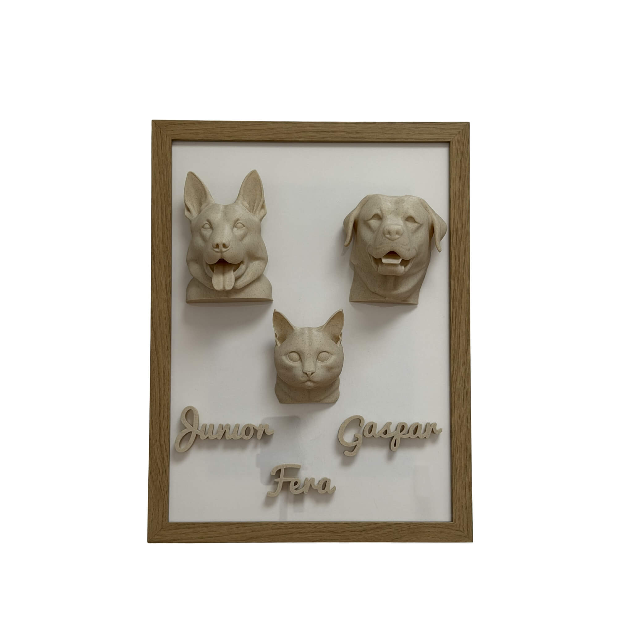 A Família — 3 pets