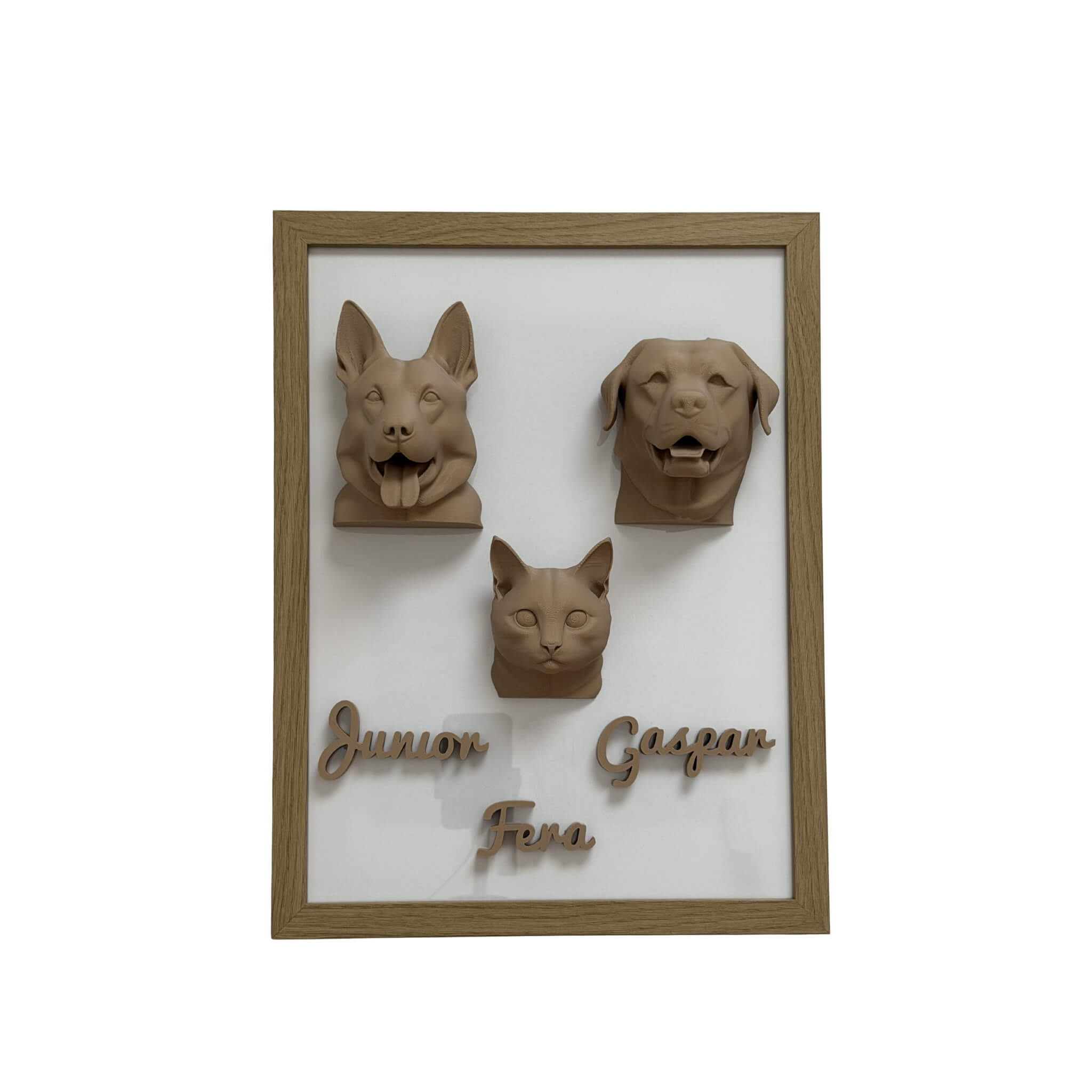 A Família — 3 pets