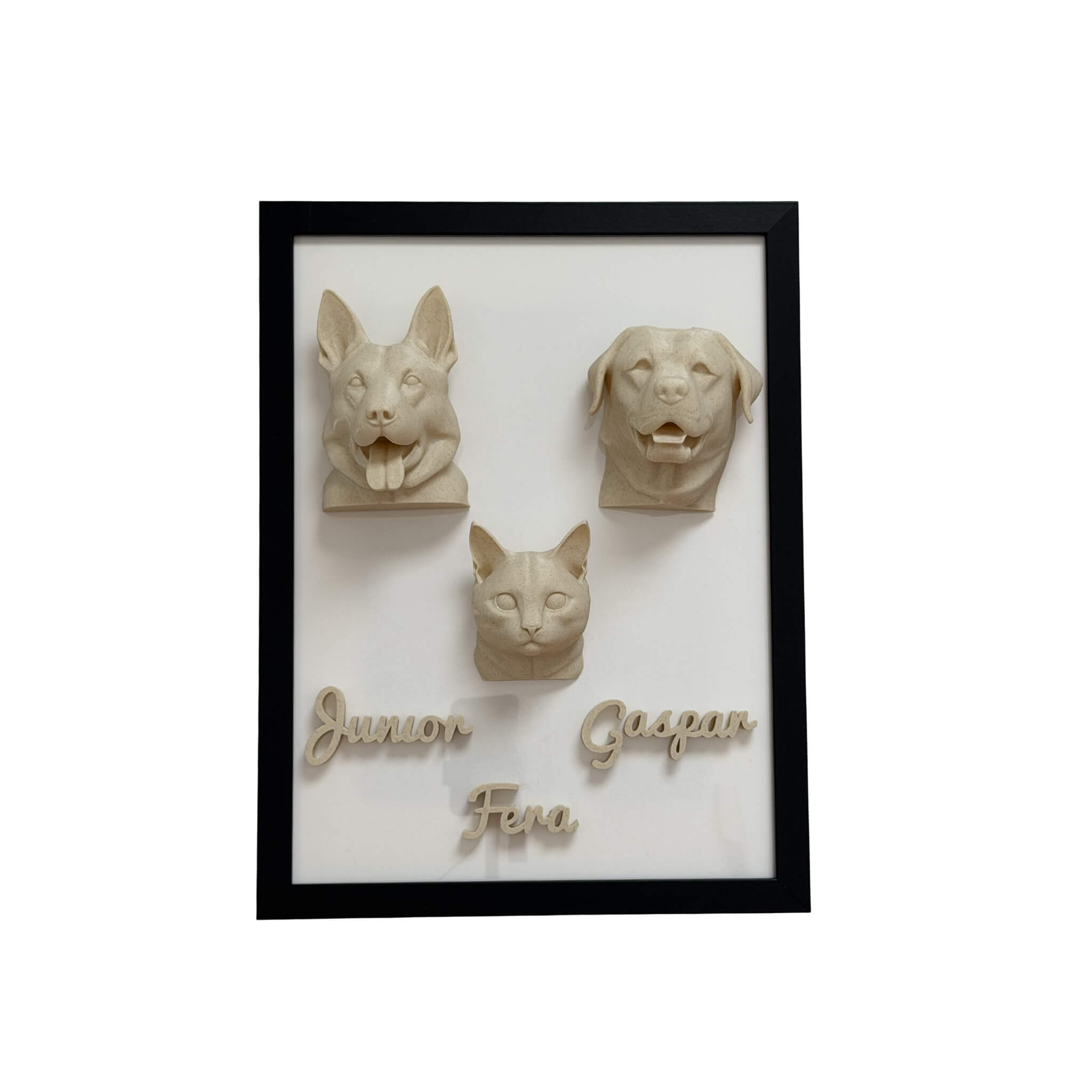 A Família — 3 pets