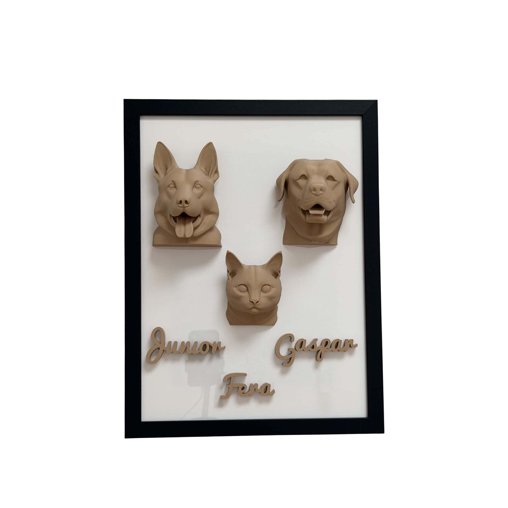 A Família — 3 pets
