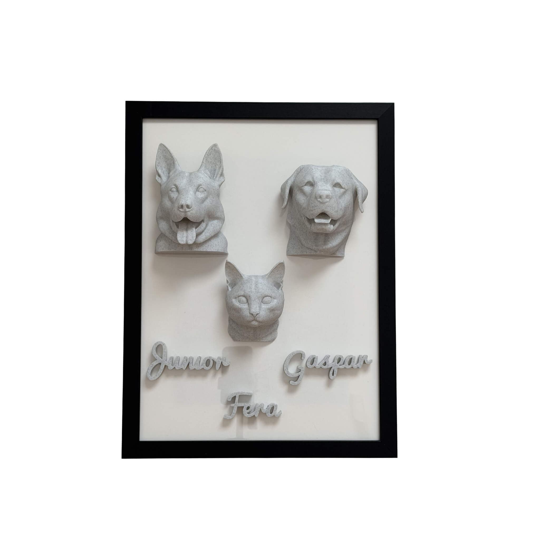 A Família — 3 pets