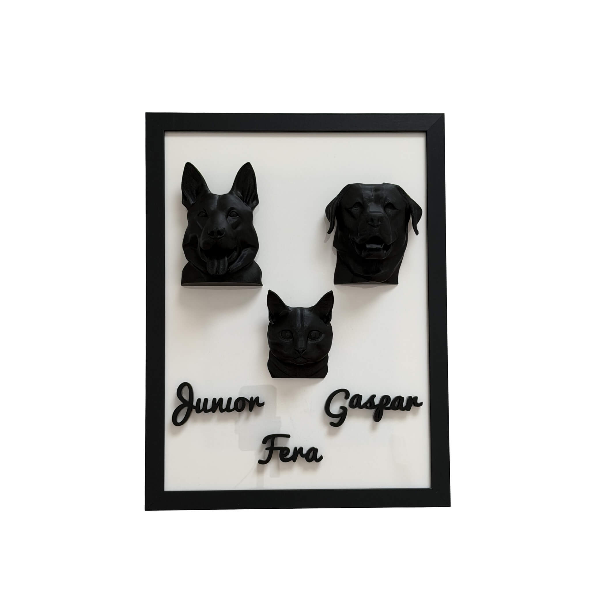 A Família — 3 pets