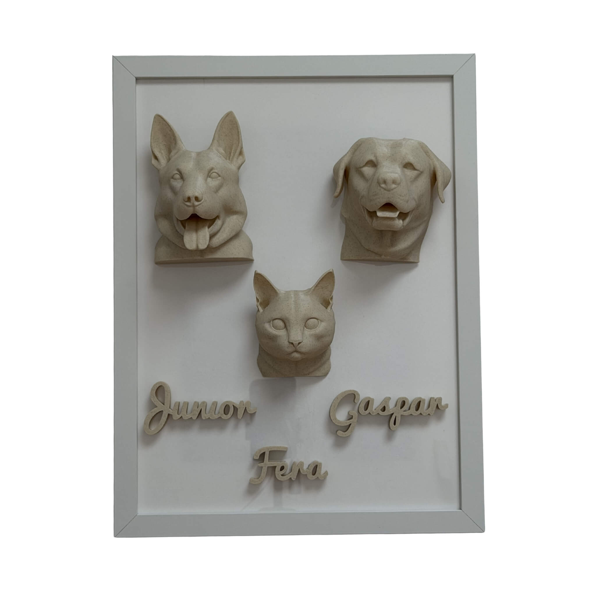 A Família — 3 pets