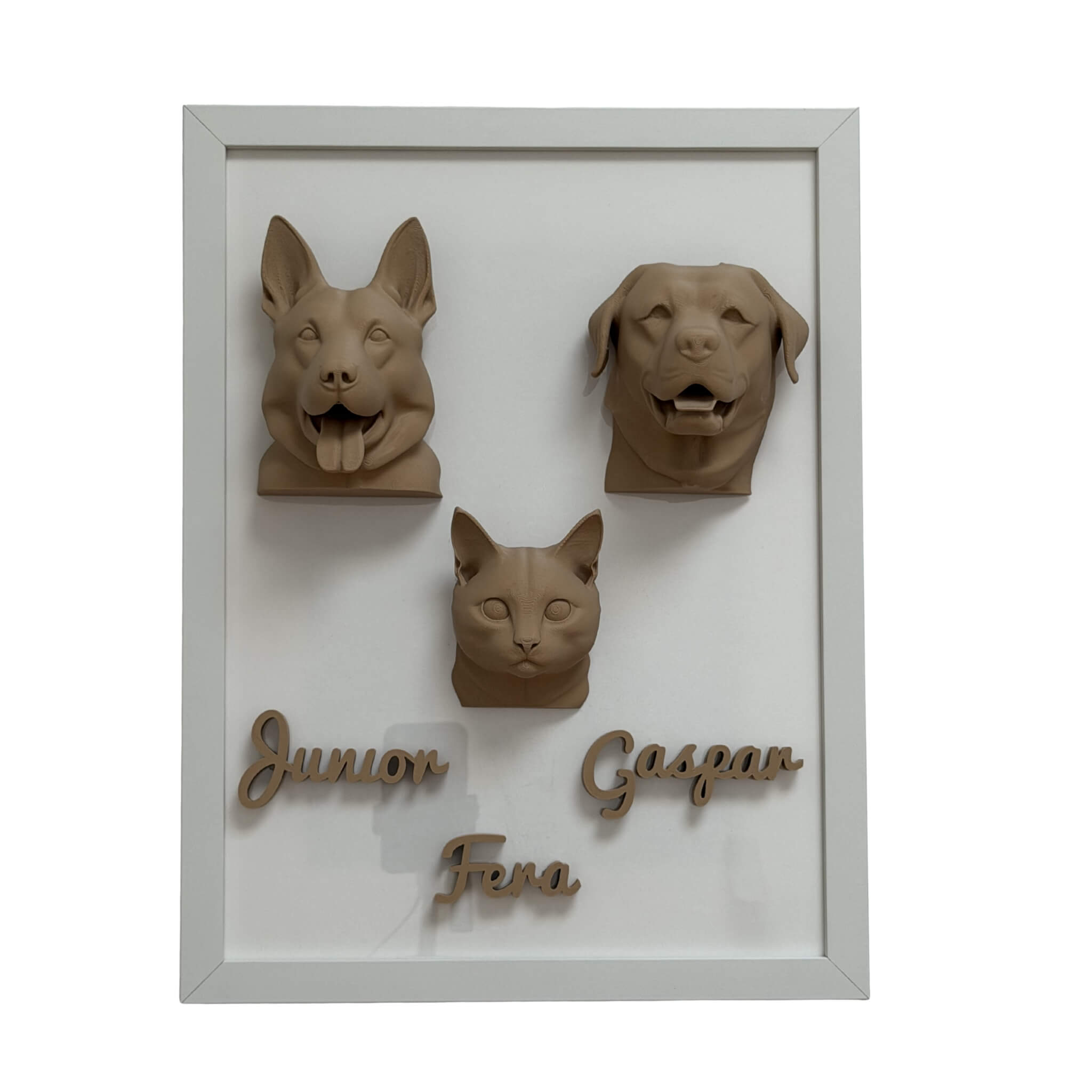 A Família — 3 pets