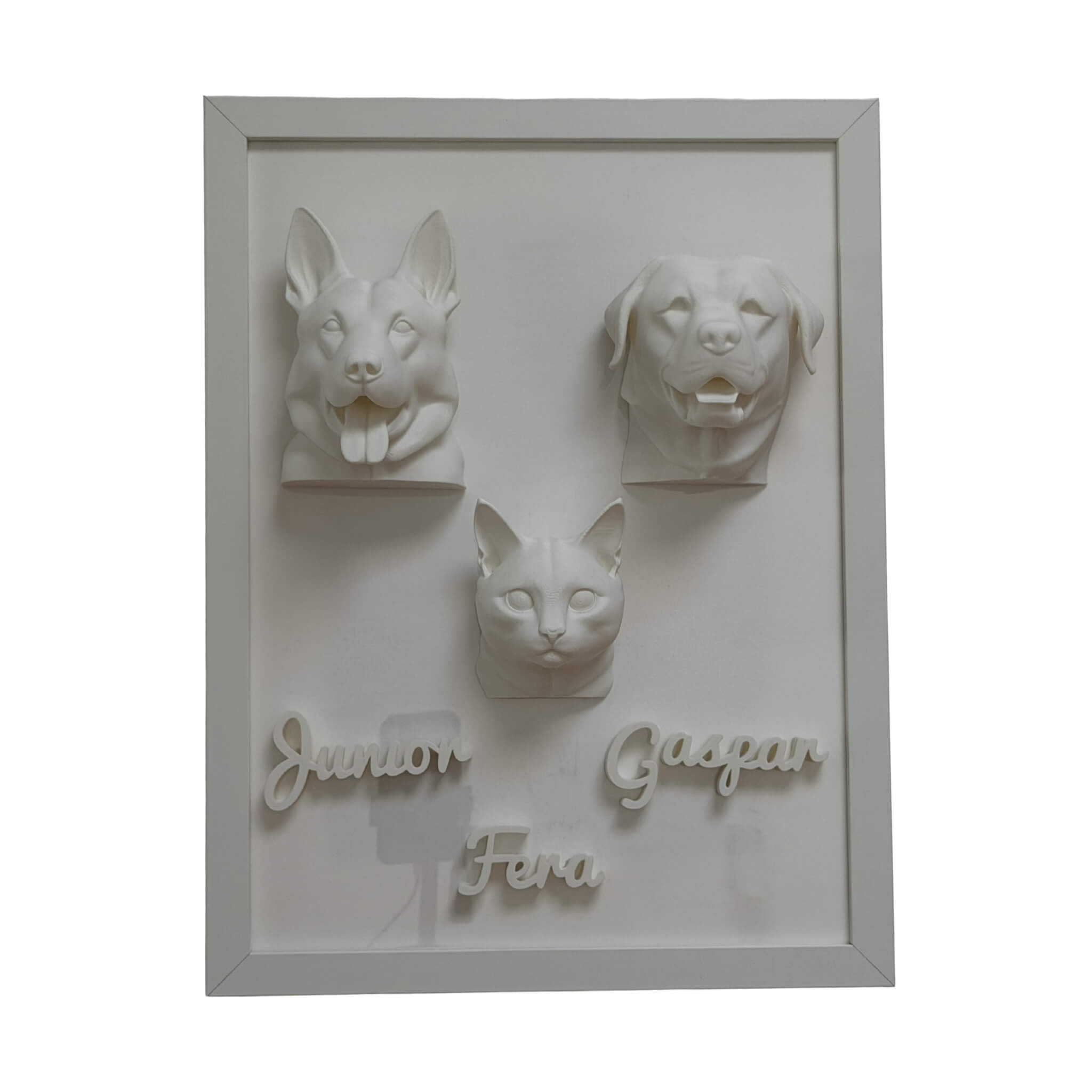 A Família — 3 pets