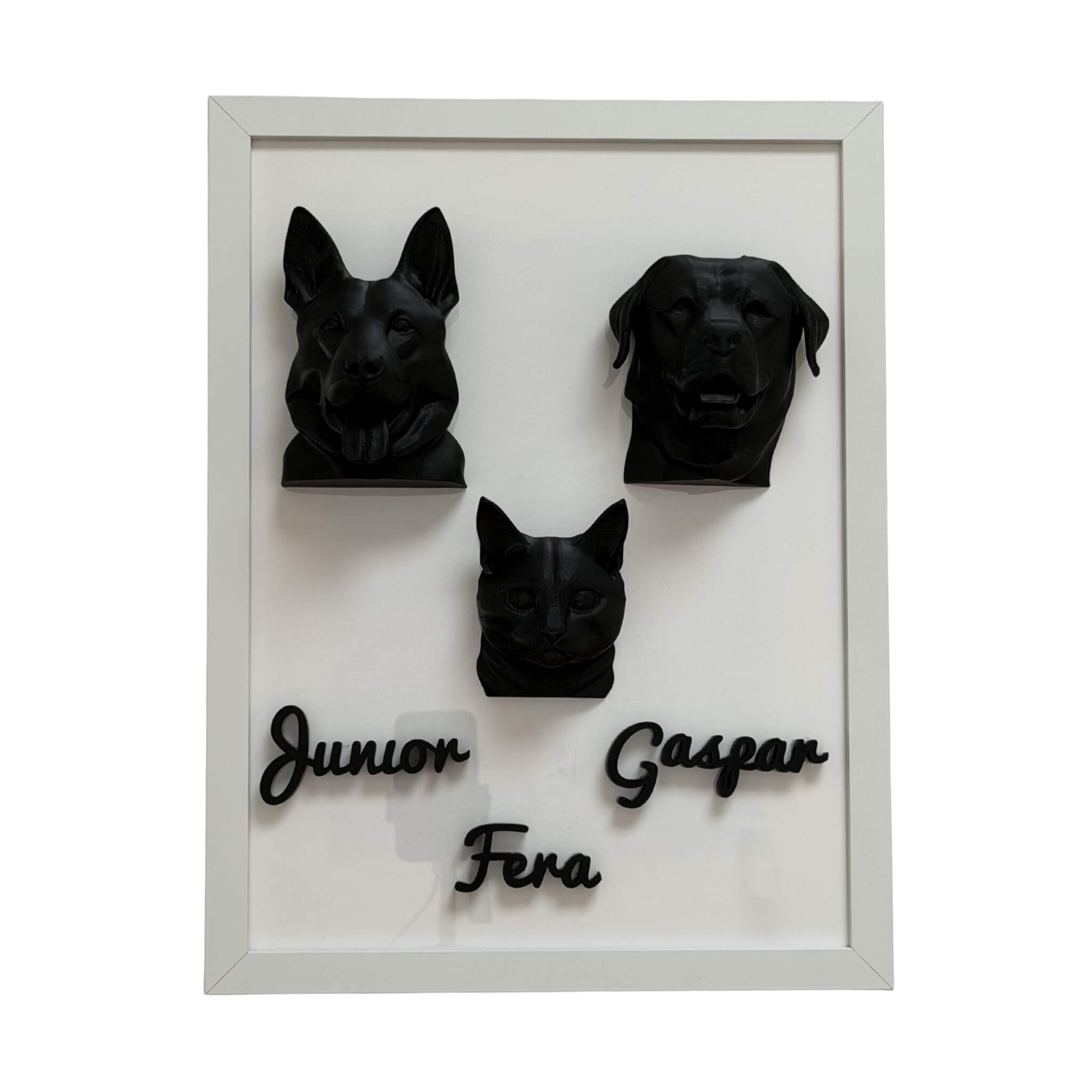 A Família — 3 pets