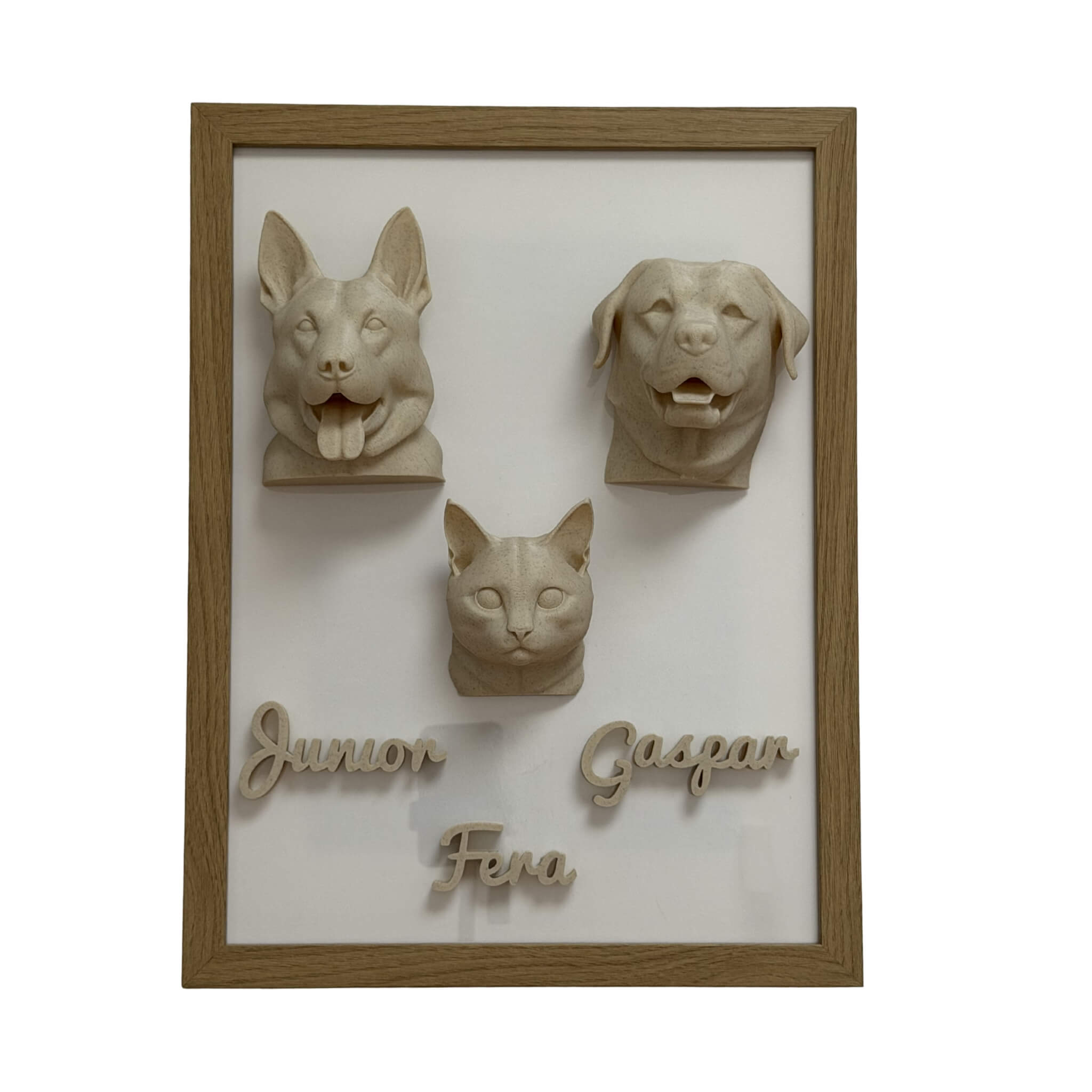 A Família — 3 pets