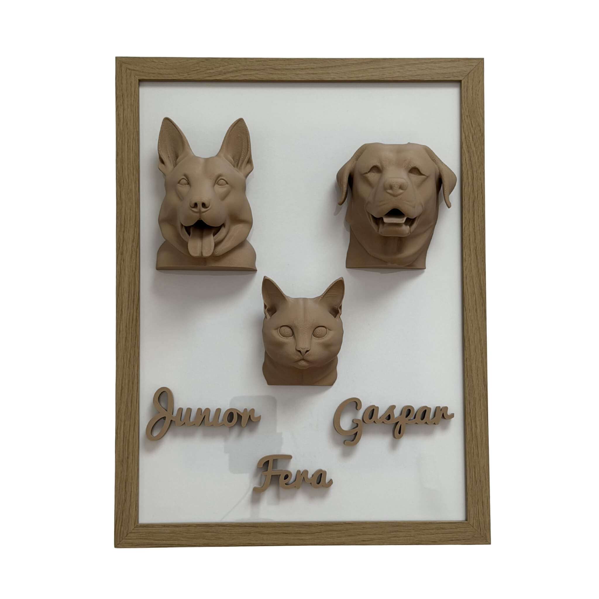 A Família — 3 pets