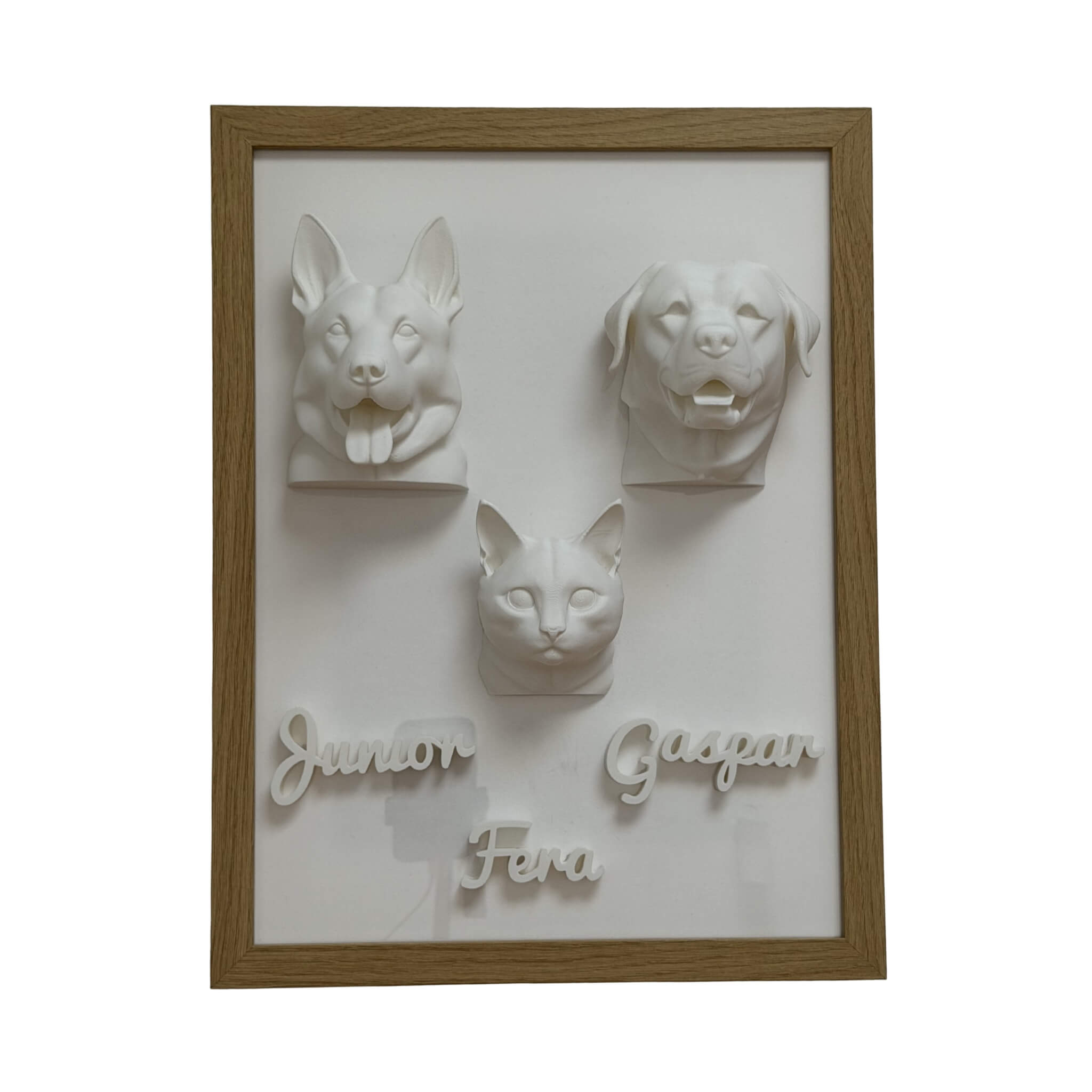 A Família — 3 pets