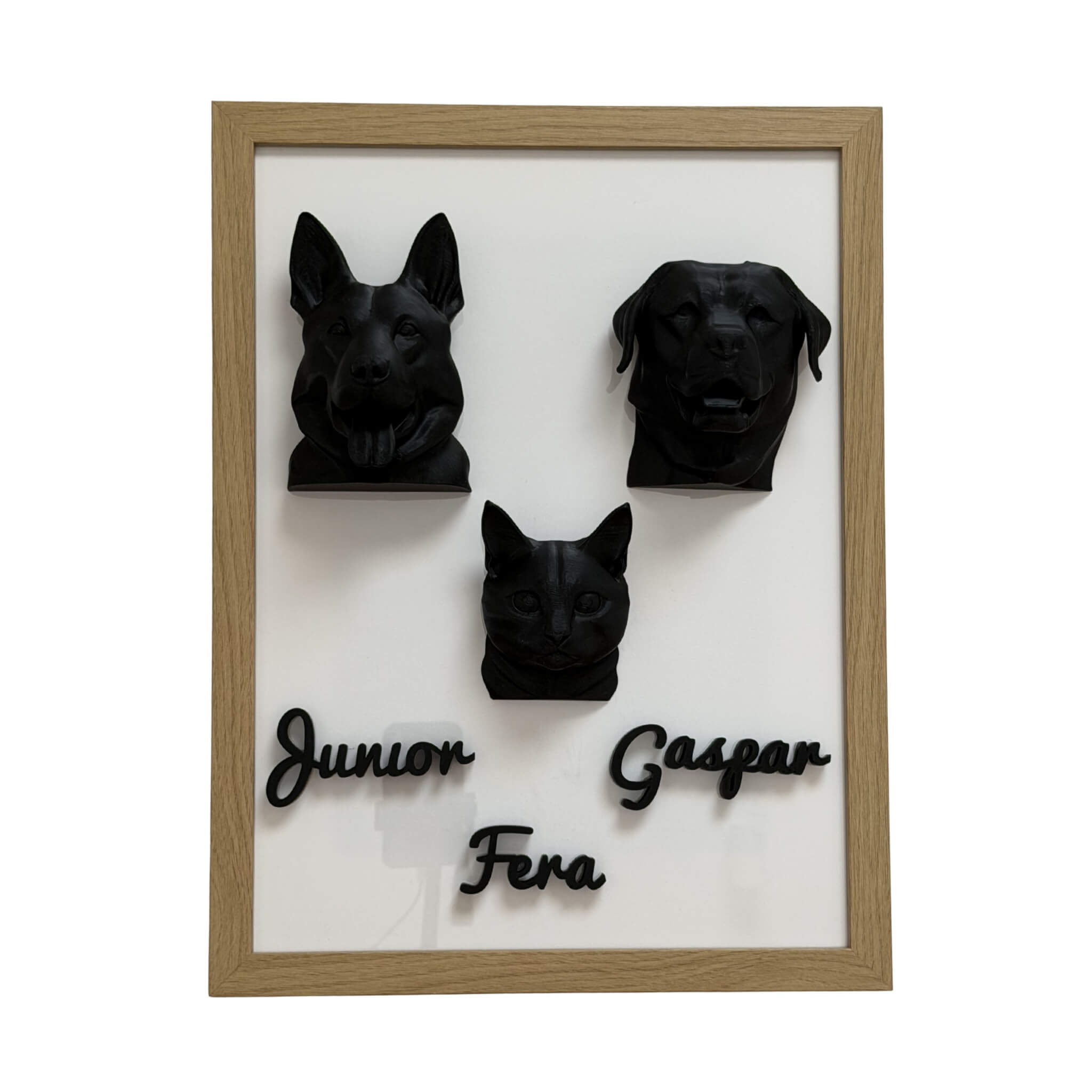 A Família — 3 pets