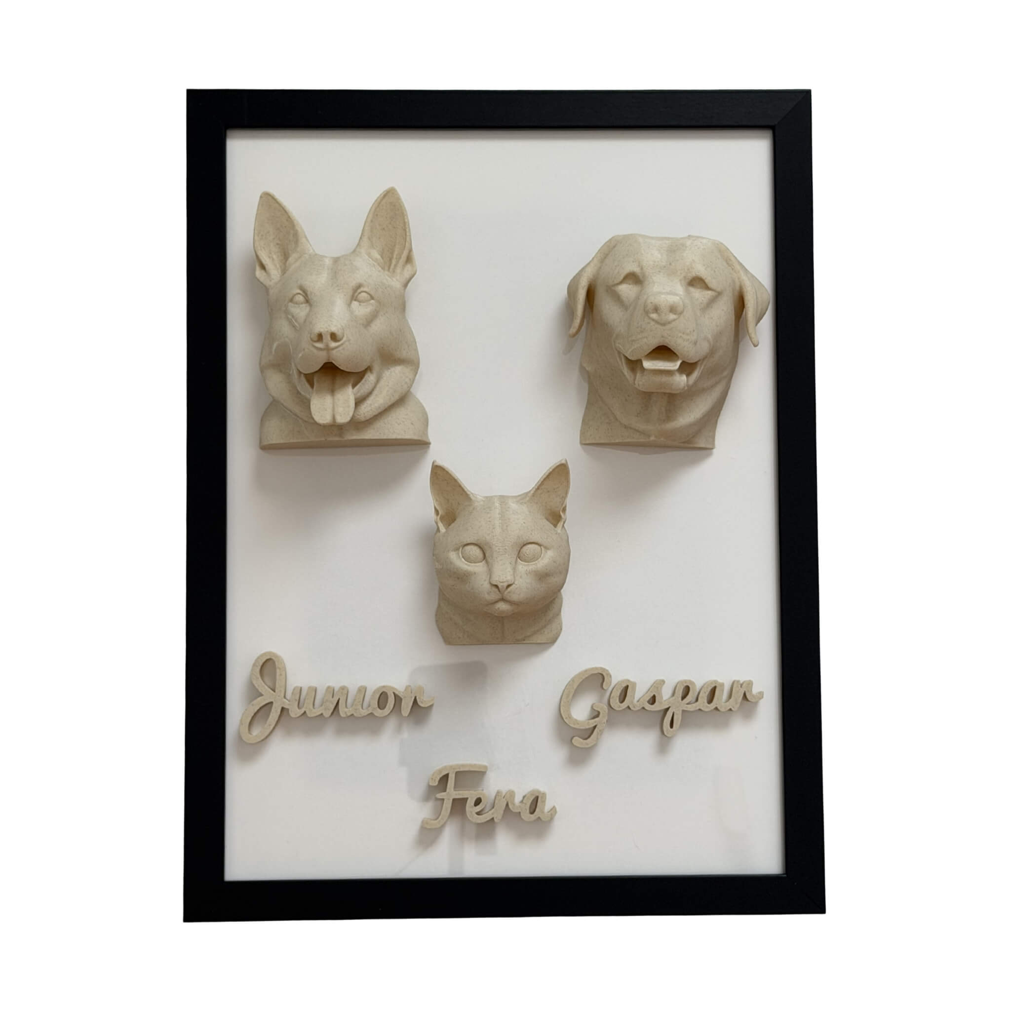A Família — 3 pets