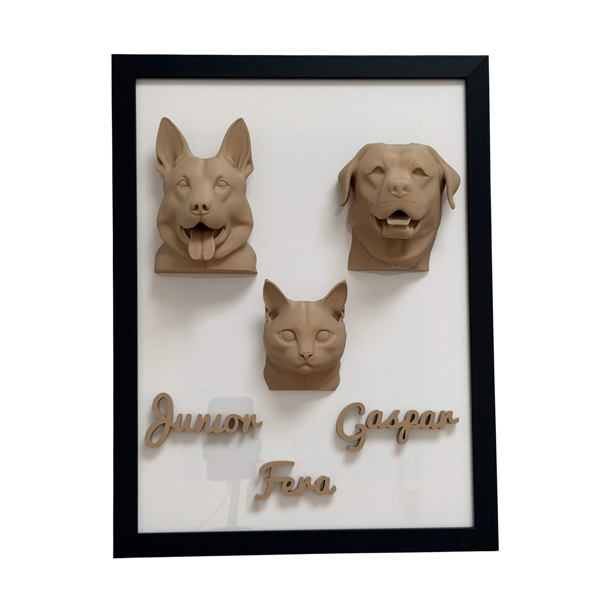 A Família — 3 pets