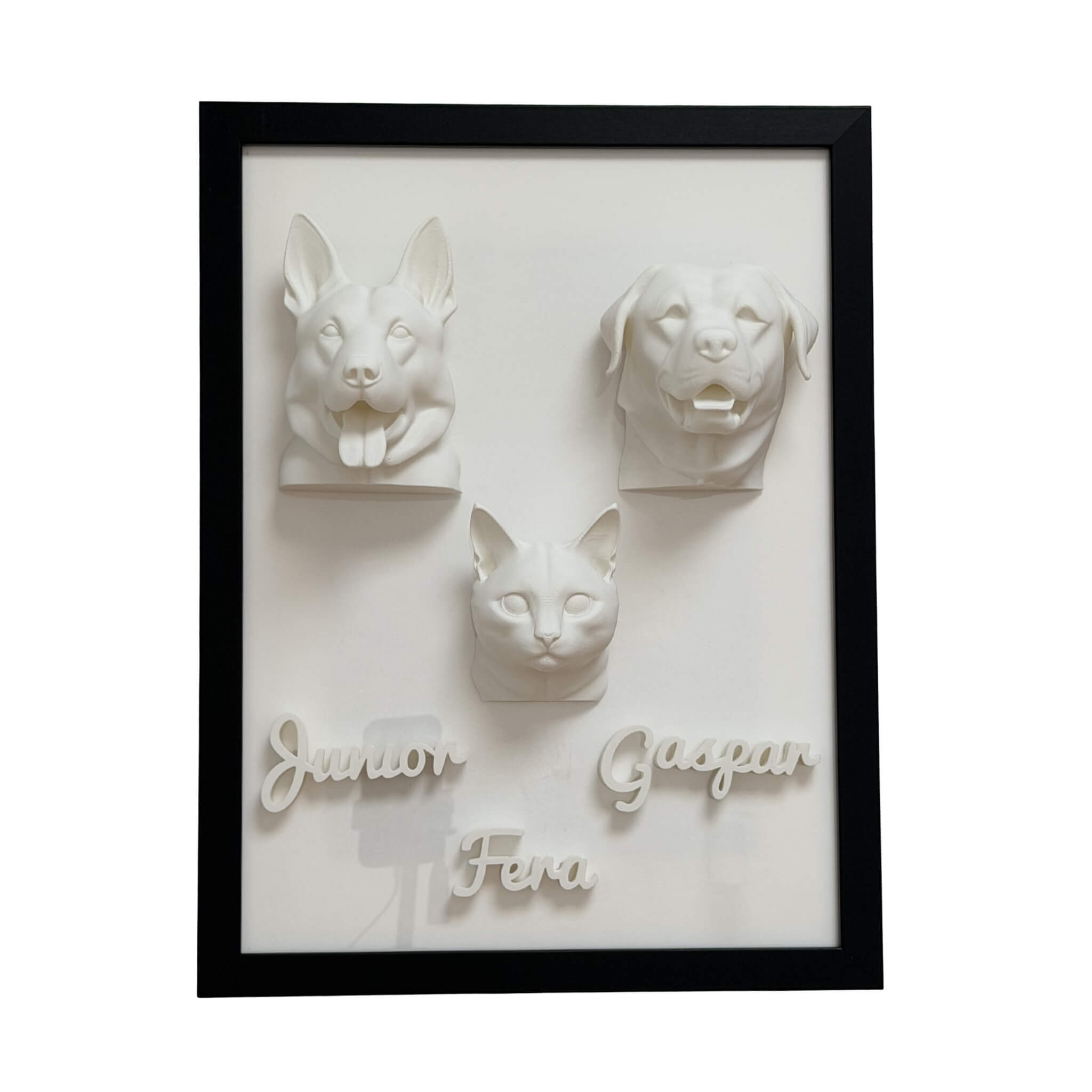 A Família — 3 pets
