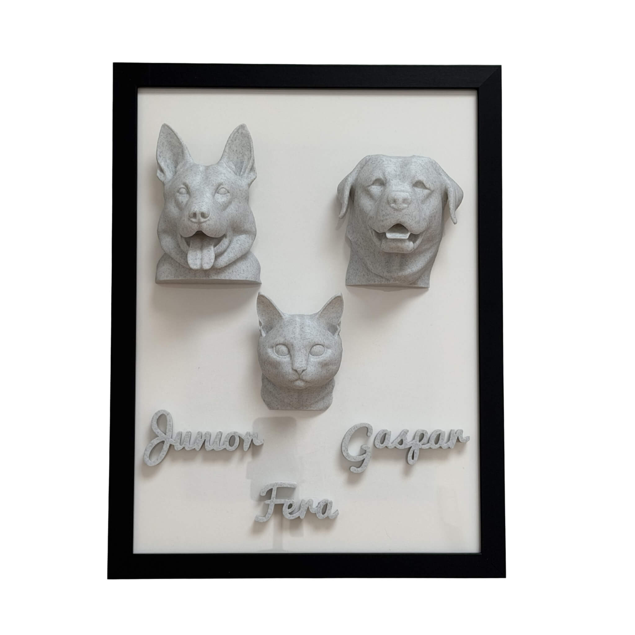A Família — 3 pets
