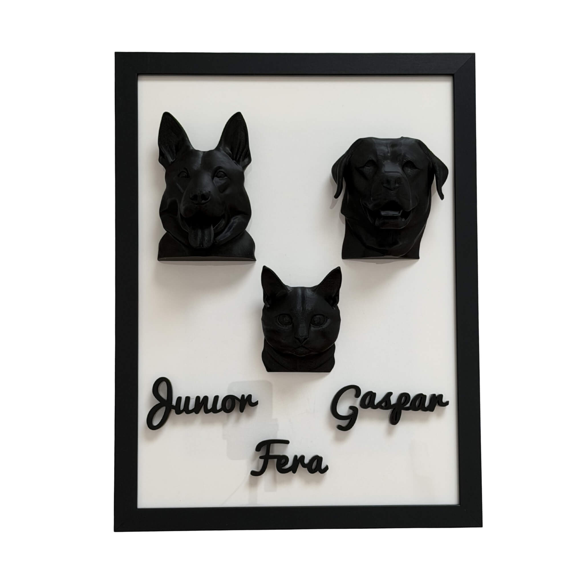 A Família — 3 pets